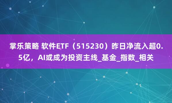 掌乐策略 软件ETF（515230）昨日净流入超0.5亿，AI或成为投资主线_基金_指数_相关