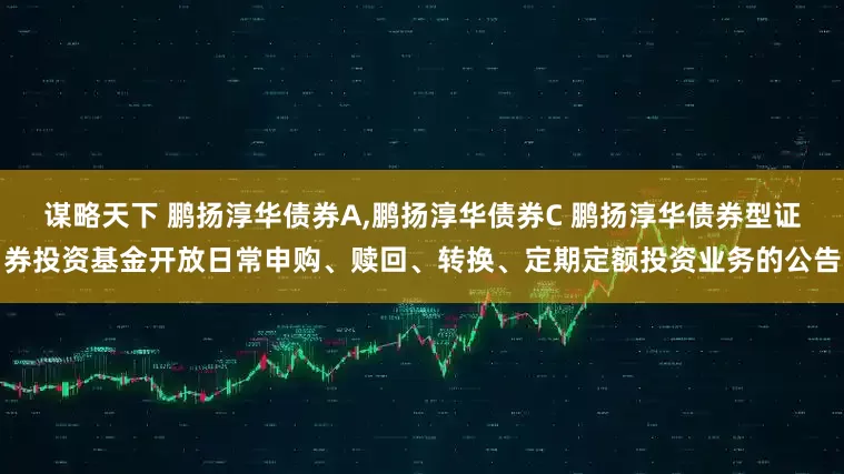 谋略天下 鹏扬淳华债券A,鹏扬淳华债券C 鹏扬淳华债券型证券投资基金开放日常申购、赎回、转换、定期定额投资业务的公告